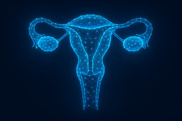 Glowing wireframe digital uterus representing female reproductive system innovation in medical technology futuristic anatomy concept in polygon mesh healthcare illustration background