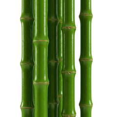 A vertical arrangement of glossy green bamboo stalks with visible nodes isolated on transparent background