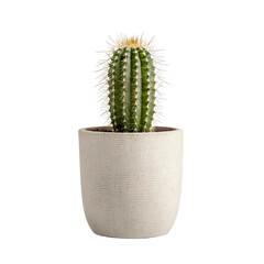Cactus in Textured Neutral Toned Pot, Cut Out