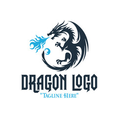 Powerful Black Dragon with Blue Fire Logo for Fantasy and Mythical Branding Identity
