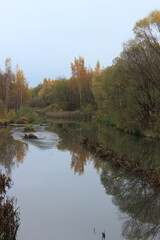 Beautiful autumn landscape. Russia.