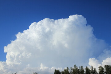 Big white cloud over the forest. Russia.