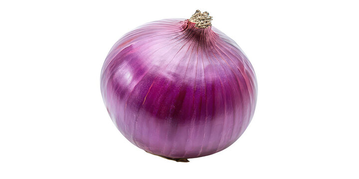 Isolated purple onion close up view on transparent png photo
