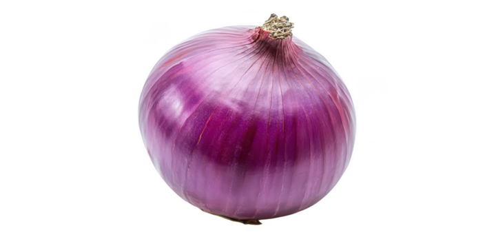 Isolated purple onion close up view on transparent png photo