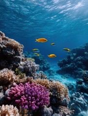 Obraz premium Underwater exploration of colorful coral reefs ocean depths marine life vibrant environment scenic viewpoint