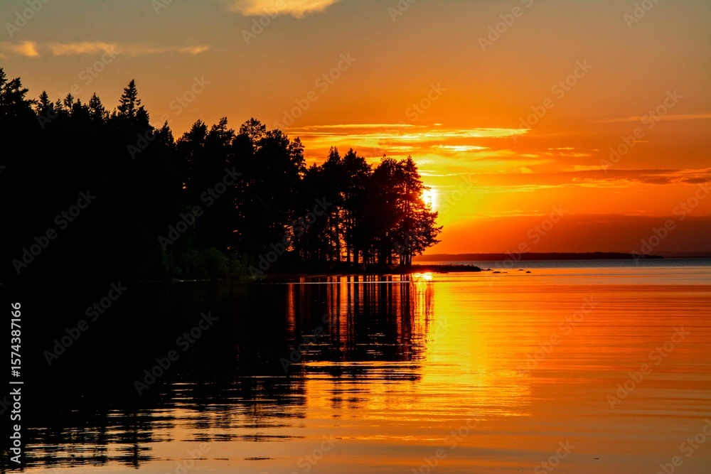 Wall mural sunset over a tranquil lake with silhouetted trees.