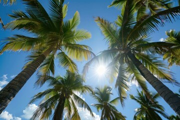 Fototapeta premium Bright sun shining through lush green palm trees on a tropical beach, evoking a sense of paradise and relaxation
