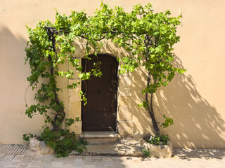 Sunlit wooden door framed by climbing grapevines on a traditional stone building in southern...