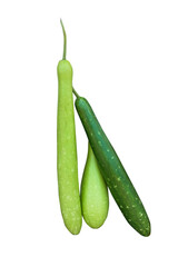 winter melon isolated on white background. This has clipping path.