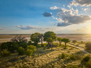 Baines Baobabs in Nxai Pan National Park, Botswana, lit by golden sunset light. Ideal for: African landscapes, baobab conservation, ecotourism visuals, and wilderness travel content.