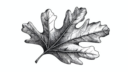 Vintage Oak Leaf Print with Grunge Effect for Designers and Artists