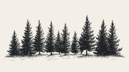 Fototapeta premium Serene Pine Forest Landscape Engraved Style