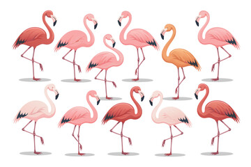 Naklejka premium Illustration of Ten Flamingos in Various Shades of Pink, Orange, Red, and White Colors Posing