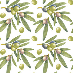 Seamless pattern watercolor olive branch green. Hand painted floral illustration olives fruit tree branches leaves transparent background. Drawings food. Edible foliage. Fabric, wrapping paper decor