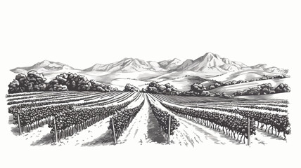 Vintage Vineyard Engraving with Rolling Hills - Scenic Landscape Artwork