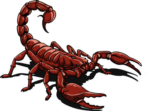  Red Scorpion