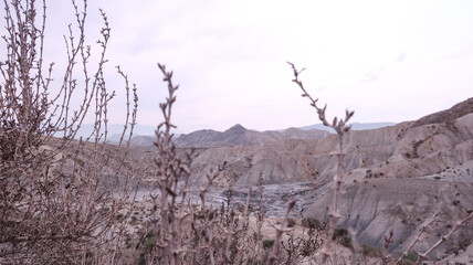 Desierto de Tabernas