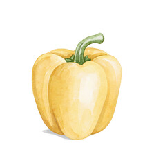 Cartoon cute cooking culinary sweet ripe yellow pepper isolated on white background. Watercolor and pencil hand drawn illustration sketch