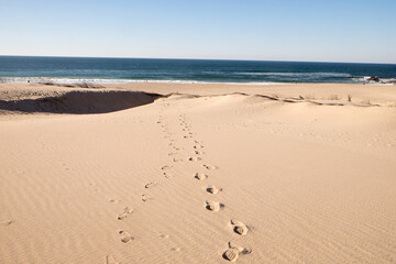 Desert Dunes in Carrapateira, Portugal