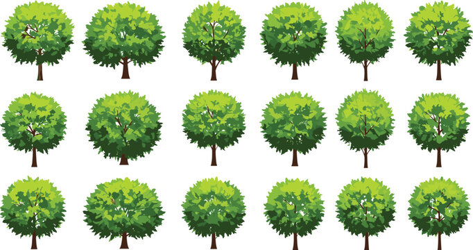 Collection of lush green round trees, flat vector design, cartoon foliage elements for nature, forest, landscape, and outdoor environment illustration
