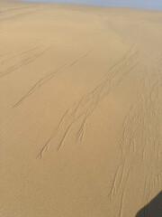 Desert Dunes in Carrapateira, Portugal