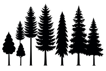 Fototapeta premium Silhouettes of Pine and Fir Trees in a Natural Forest Setting – Vector Design