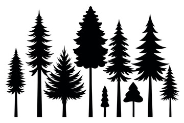 Obraz premium Silhouettes of Pine and Fir Trees in a Natural Forest Setting – Vector Design