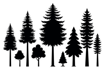 Fototapeta premium Silhouettes of Pine and Fir Trees in a Natural Forest Setting – Vector Design