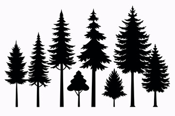 Fototapeta premium Silhouettes of Pine and Fir Trees in a Natural Forest Setting – Vector Design