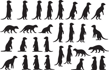 Meerkat silhouettes standing and walking animal wildlife