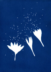 Flowers and seeds. Unique hand-printed monotype.  Cyanotype a kind og alternative photography. Floral composition. Plant motifs illustration.