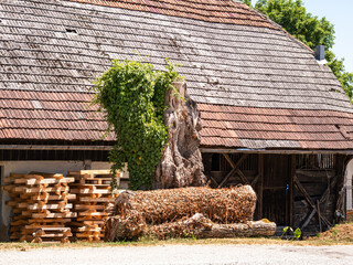 Rustic Barn with Wooden Logs and Tree Trunk