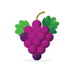 Realistic Purple Grape Cluster with Leaves – Vector Illustration

