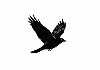 Obraz premium Vector of a single bird flying in the sky, solid dark color (black or navy), no background details, white background
