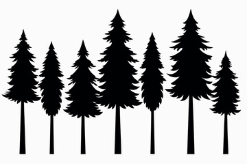 Obraz premium Silhouettes of evergreen trees in a forest setting 