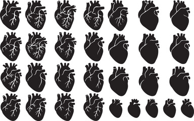 Black anatomical hearts with white veins human heart