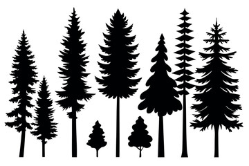 Obraz premium Pine Tree Silhouette Collection Isolated on White Background – Vector Set 