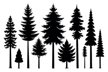 Obraz premium Pine Tree Silhouette Collection Isolated on White Background – Vector Set 