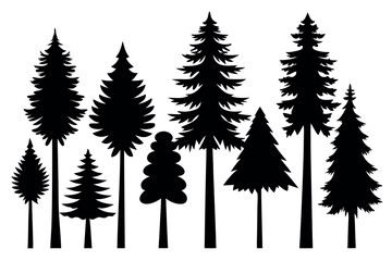 Obraz premium Pine Tree Silhouette Collection Isolated on White Background – Vector Set 