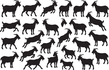 Black goat silhouettes in various poses white animal