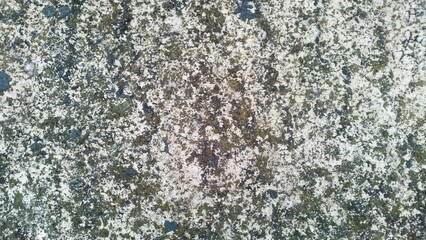 Weathered Concrete Texture, Grunge Background with Moss and Stain