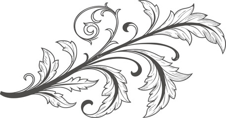 Elegant Swirling Vine Flourish Design Element with Leafy Accents and Scrollwork Detail