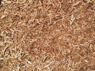 Close up sawdust texture background 