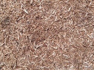 Close up sawdust texture background 