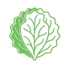 Lettuce leaf outline vector icon isolated on white background