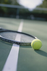 A close-up of a tennis racket and a yellow tennis ball on a green court. The court features white lines and a blurred background of trees.