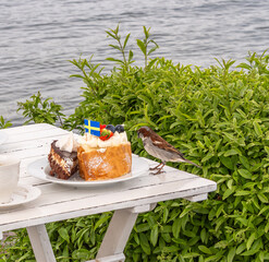 Bird Approaching Cake with Swedish Flag by the Water