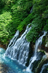 Naklejka premium waterfall in the forest