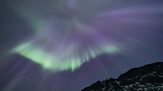 Auroras above snowy mountais in Norway, tilt and zoom up