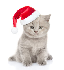 Cute tiny kitten wearing red santa hat sitting in front view and looking at camera. isolated on...